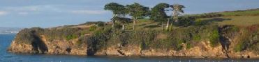 La falaise de la plage du Ris à Douarnenez